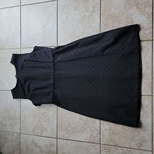 Talbots Polka Dot Sleeveless Dress